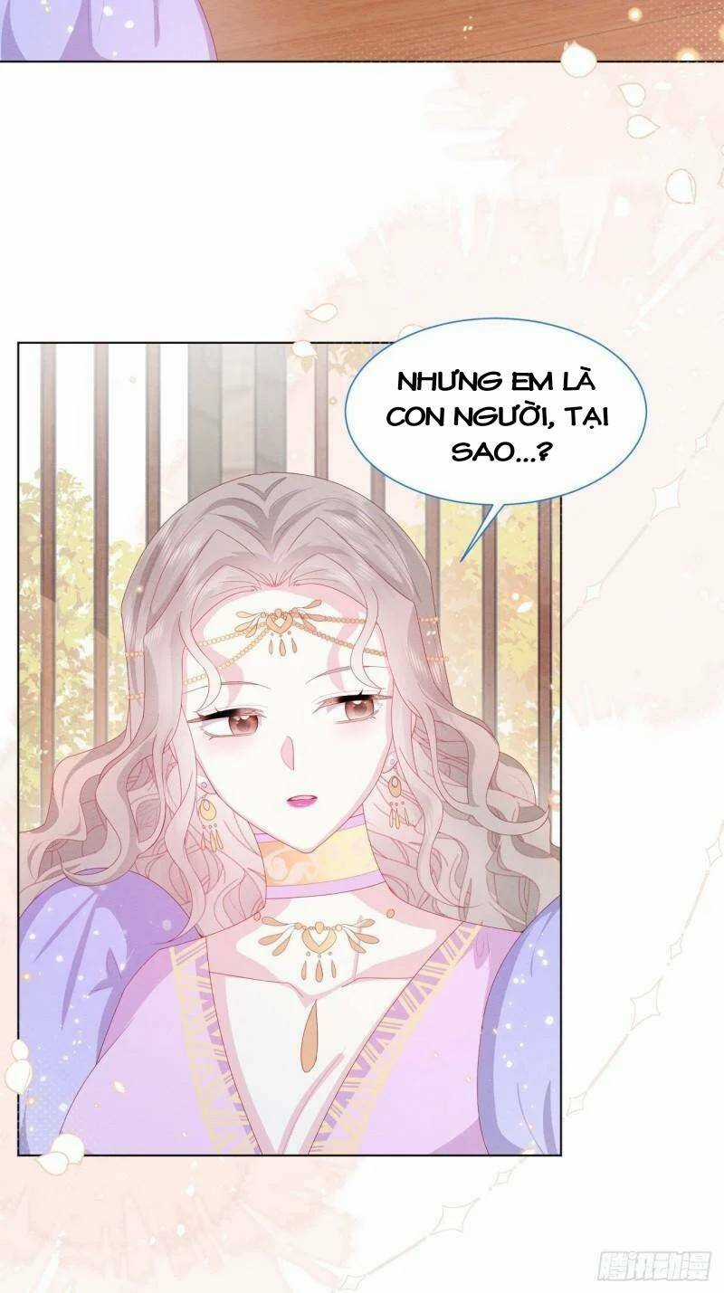 Ninita Yêu Dấu Chapter 26 trang 30