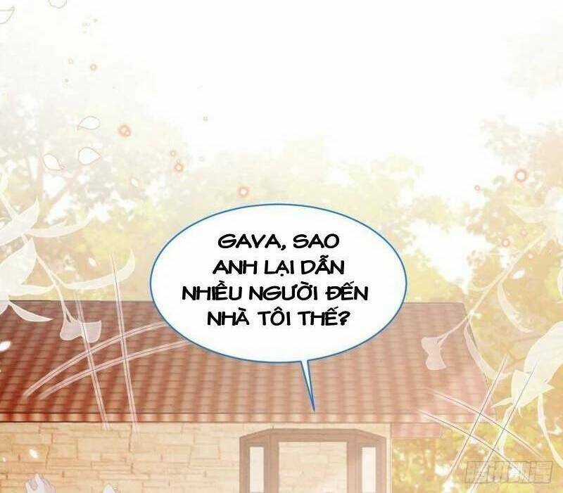 Ninita Yêu Dấu Chapter 27 trang 5