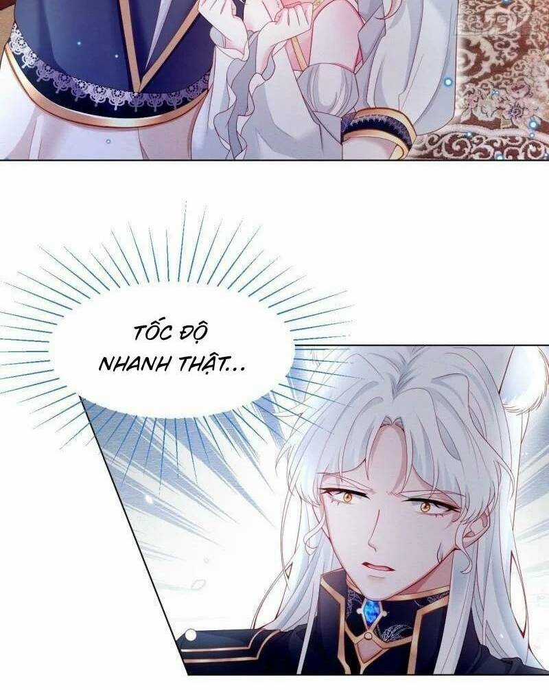 Ninita Yêu Dấu Chapter 41 trang 107