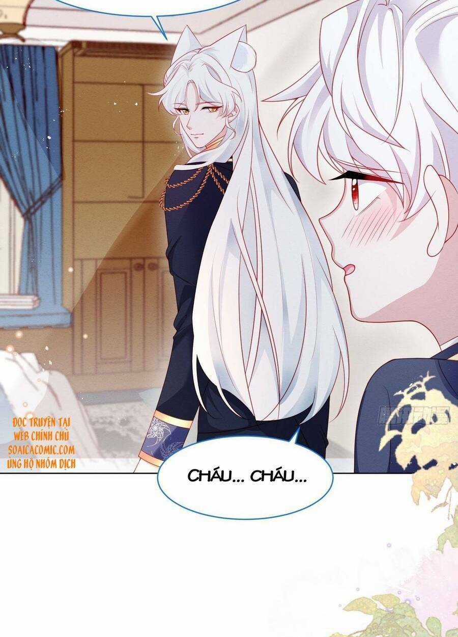 Ninita Yêu Dấu Chapter 41 trang 43