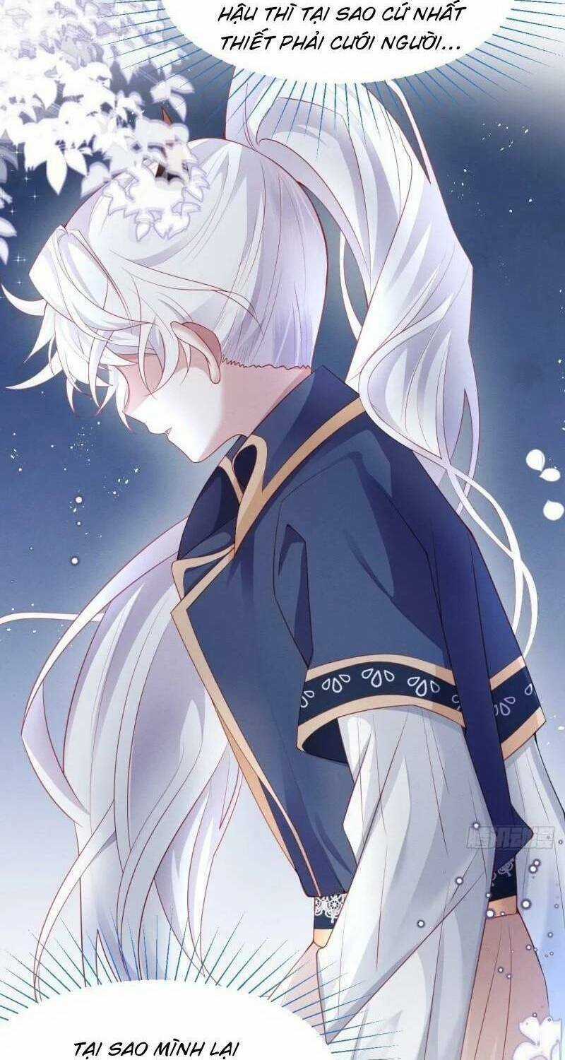 Ninita Yêu Dấu Chapter 41 trang 91