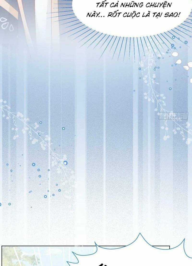 Ninita Yêu Dấu Chapter 41 trang 94