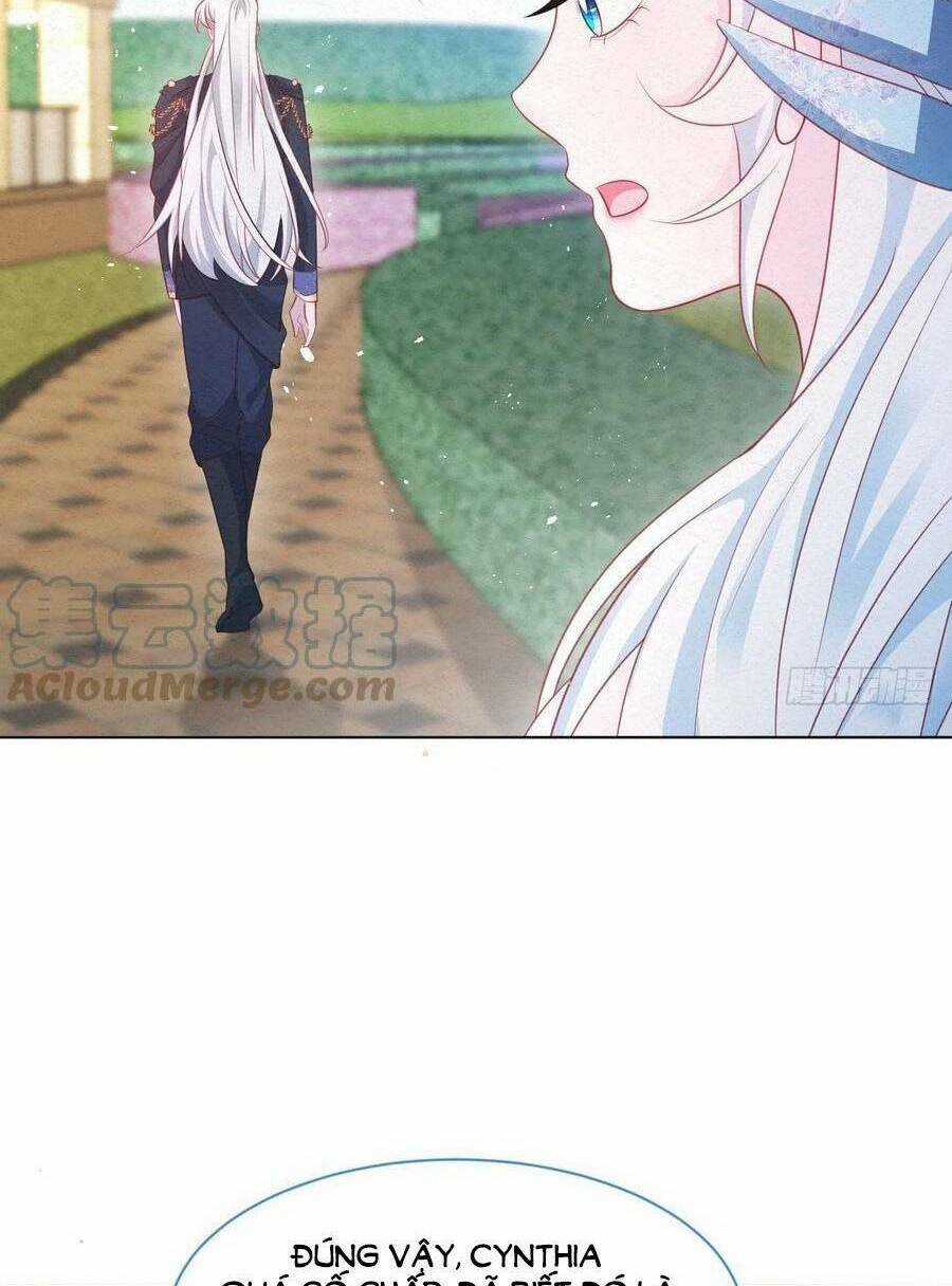 Ninita Yêu Dấu Chapter 42 trang 12