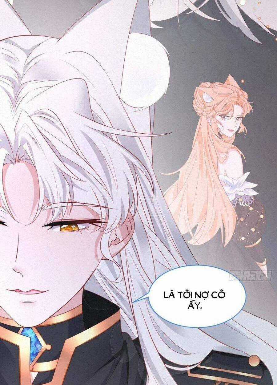 Ninita Yêu Dấu Chapter 42 trang 17