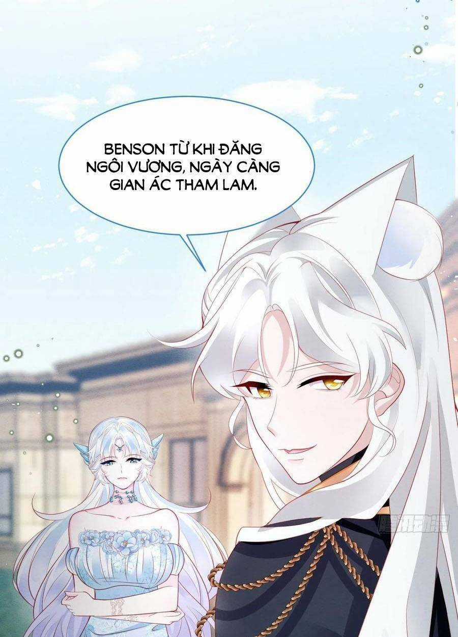 Ninita Yêu Dấu Chapter 42 trang 6