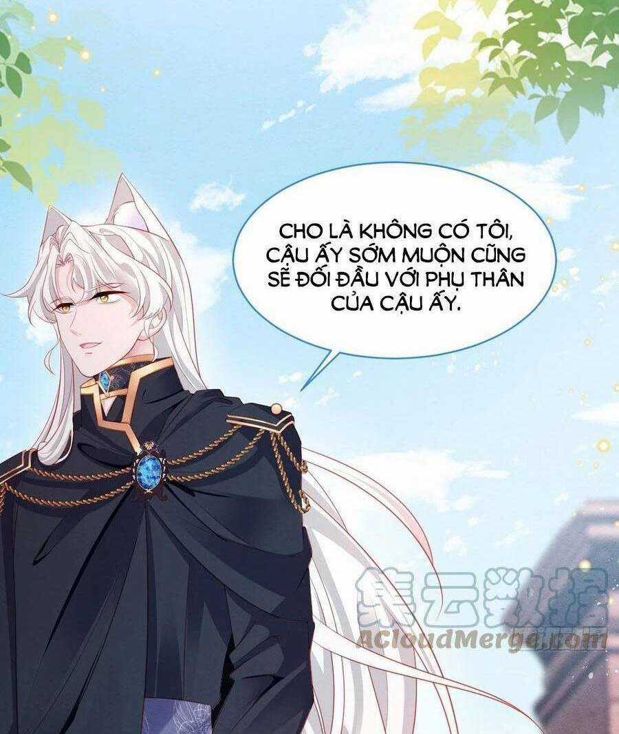 Ninita Yêu Dấu Chapter 42 trang 8