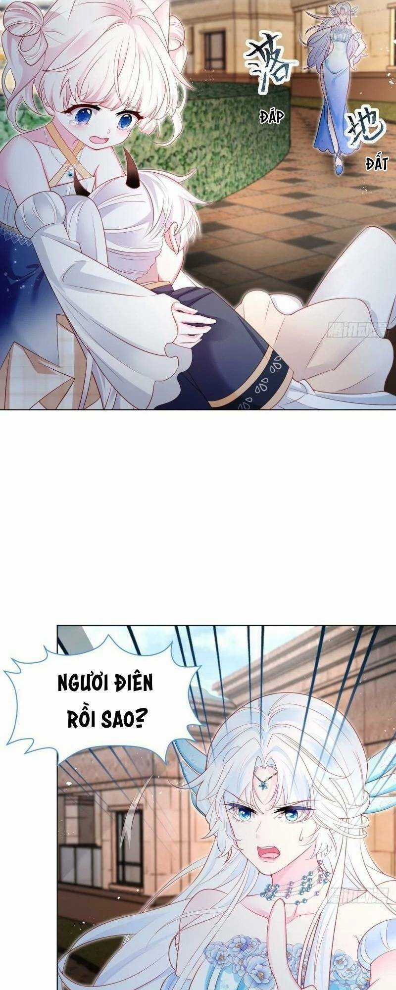 Ninita Yêu Dấu Chapter 43 trang 24