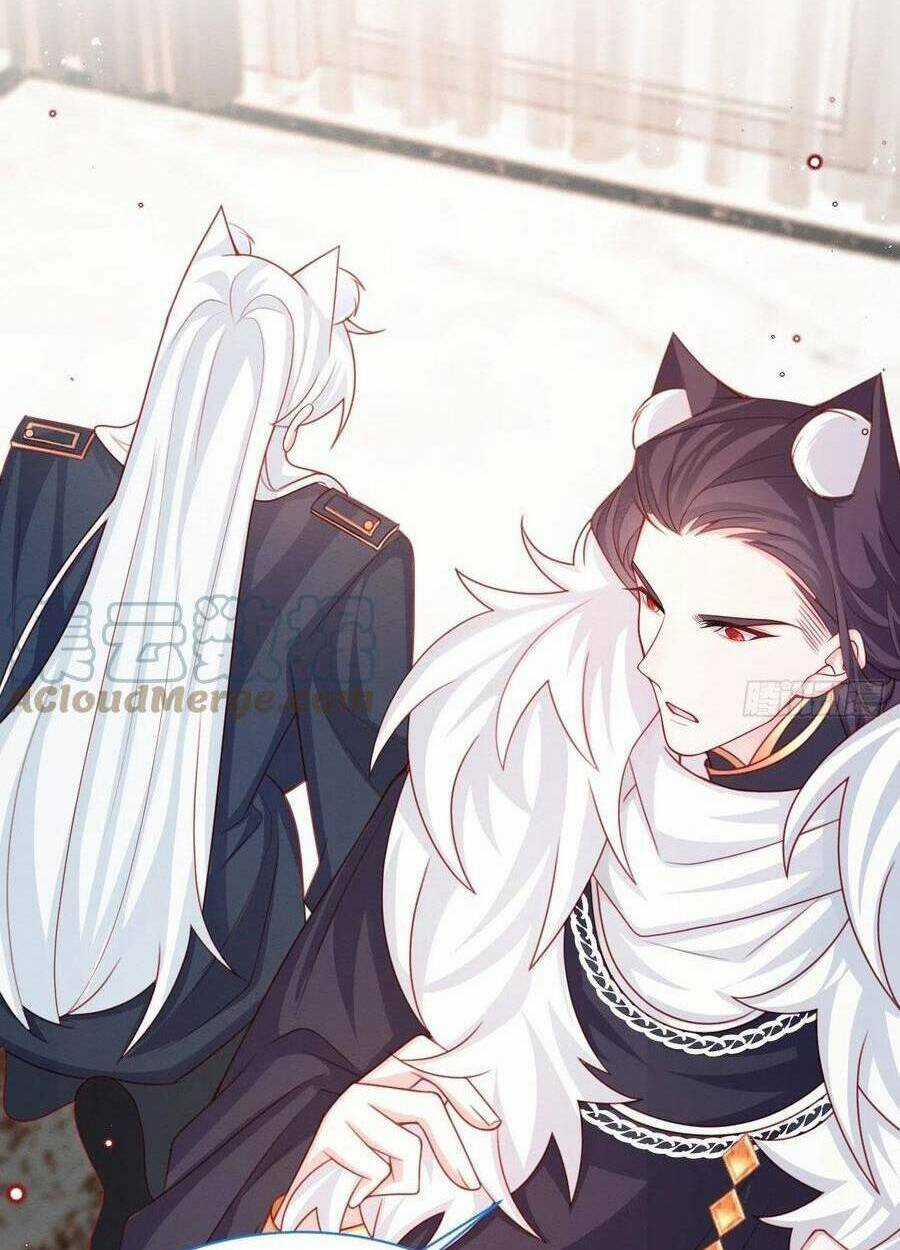 Ninita Yêu Dấu Chapter 44 trang 11