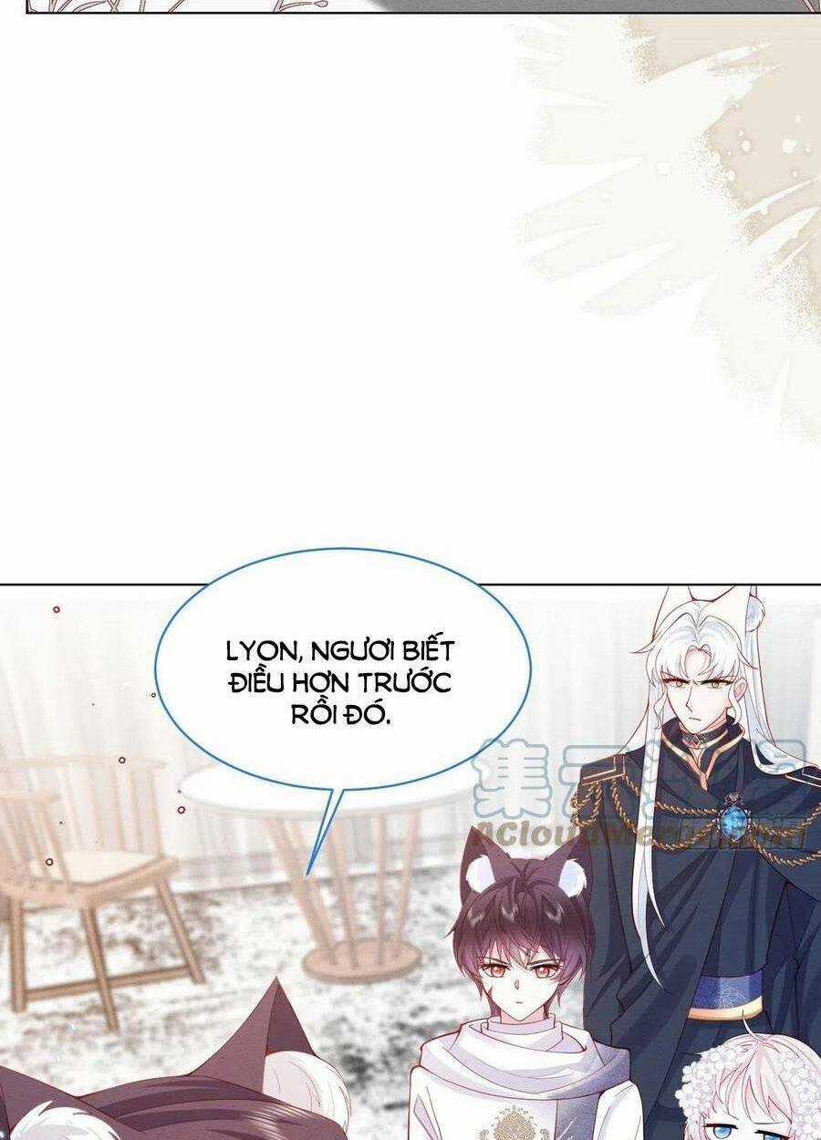 Ninita Yêu Dấu Chapter 44 trang 33