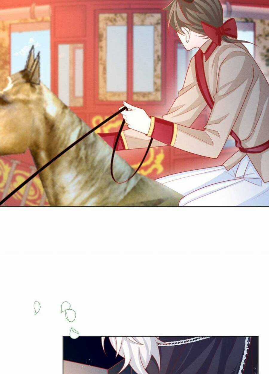 Ninita Yêu Dấu Chapter 45 trang 45