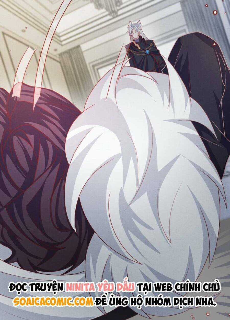 Ninita Yêu Dấu Chapter 45 trang 62