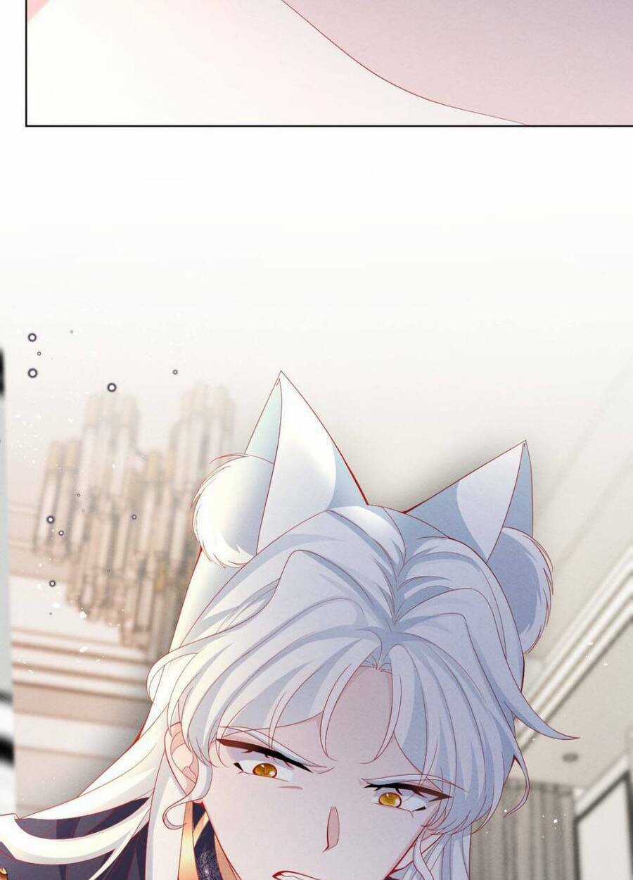 Ninita Yêu Dấu Chapter 45 trang 65