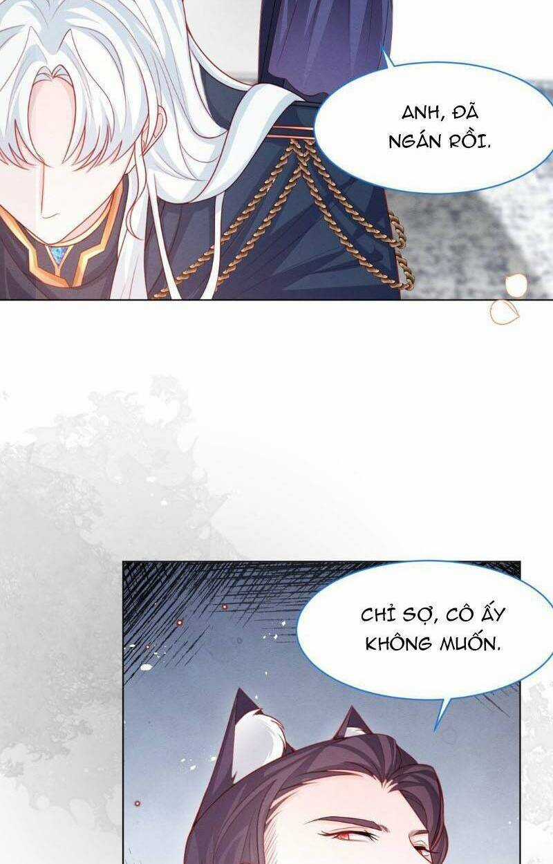 Ninita Yêu Dấu Chapter 46 trang 15