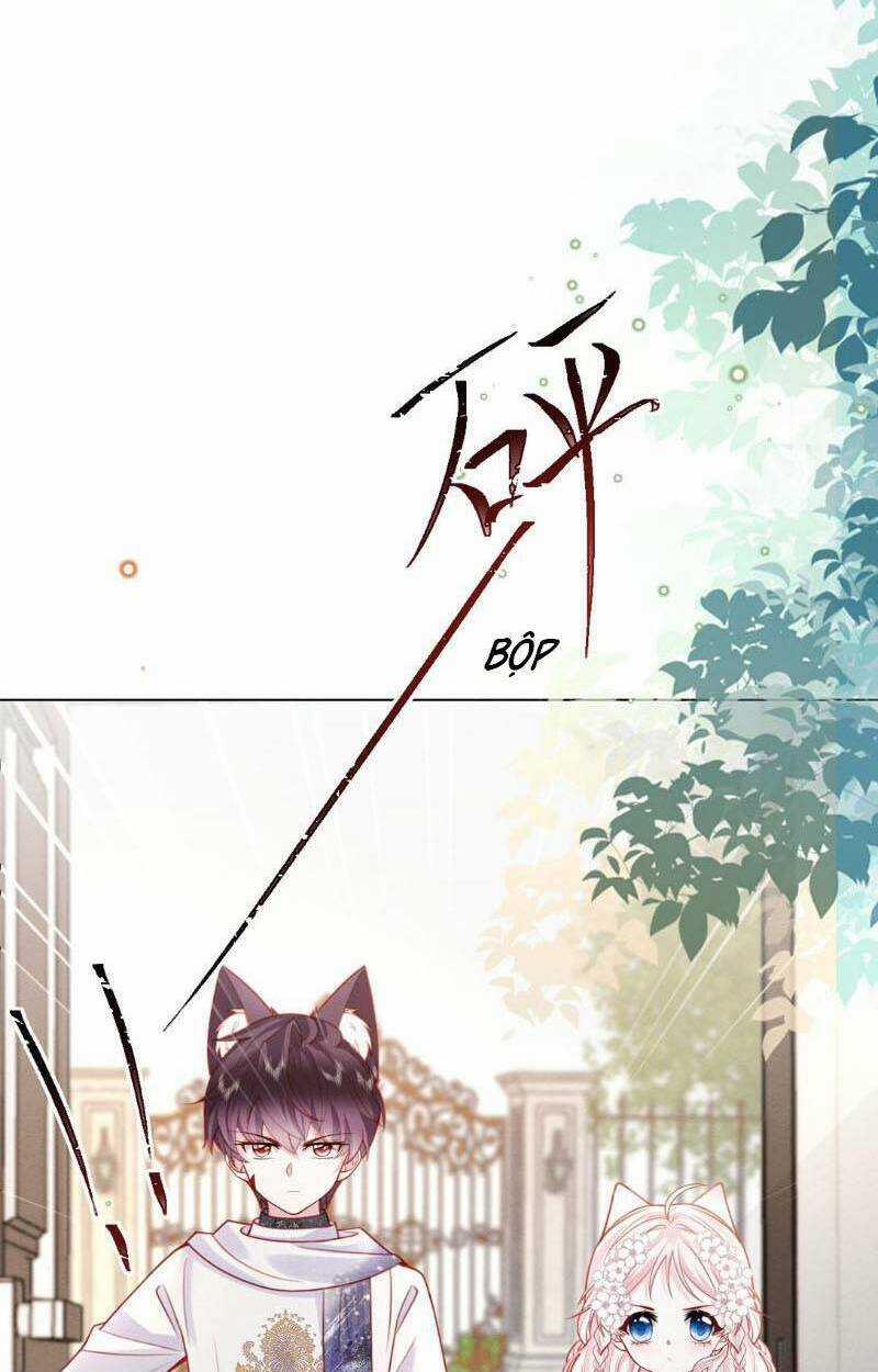 Ninita Yêu Dấu Chapter 46 trang 19