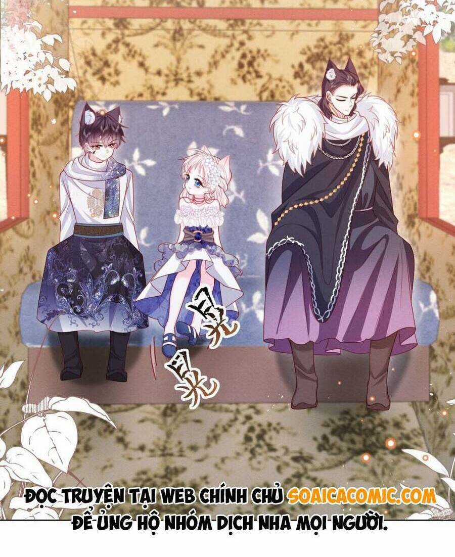 Ninita Yêu Dấu Chapter 47 trang 21