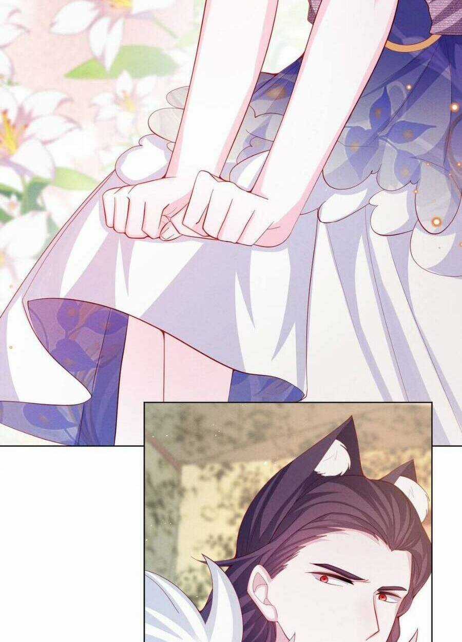 Ninita Yêu Dấu Chapter 47 trang 34