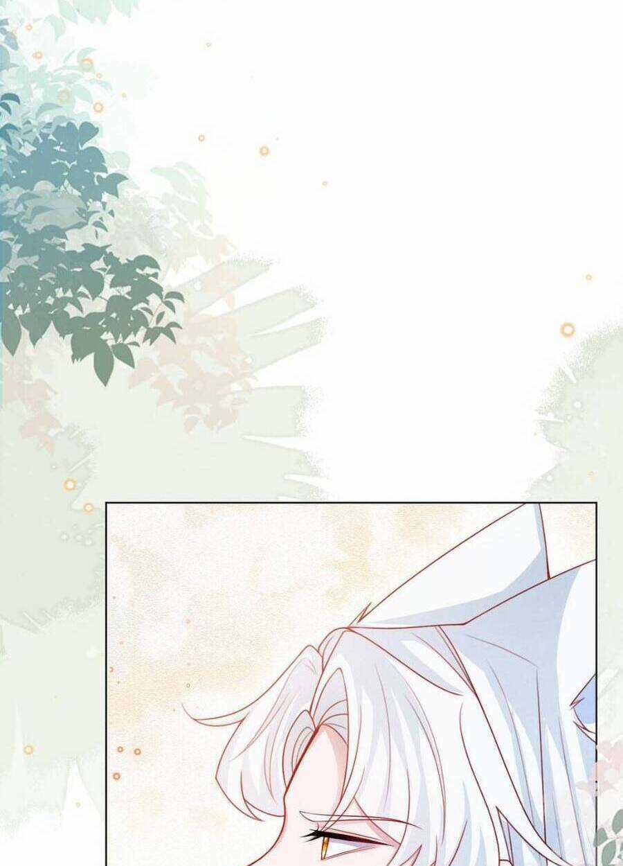 Ninita Yêu Dấu Chapter 47 trang 5