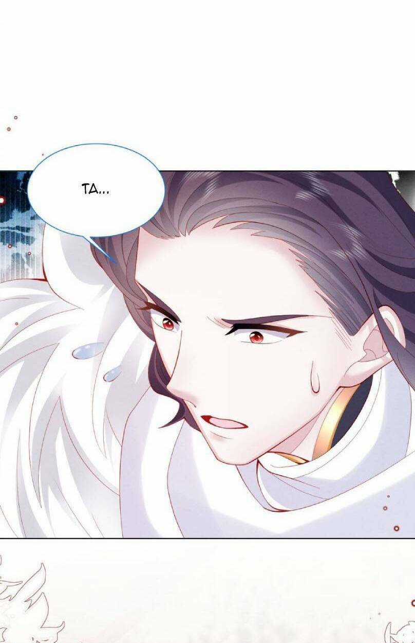 Ninita Yêu Dấu Chapter 47 trang 50