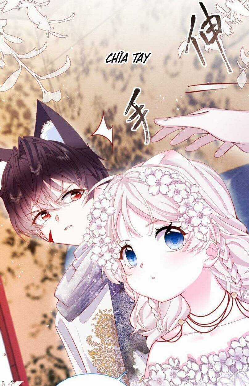 Ninita Yêu Dấu Chapter 47 trang 51