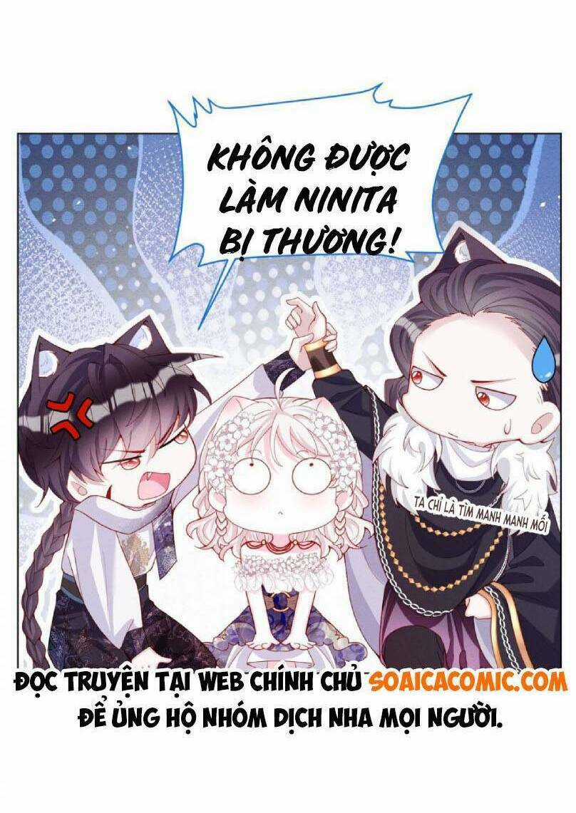 Ninita Yêu Dấu Chapter 47 trang 54