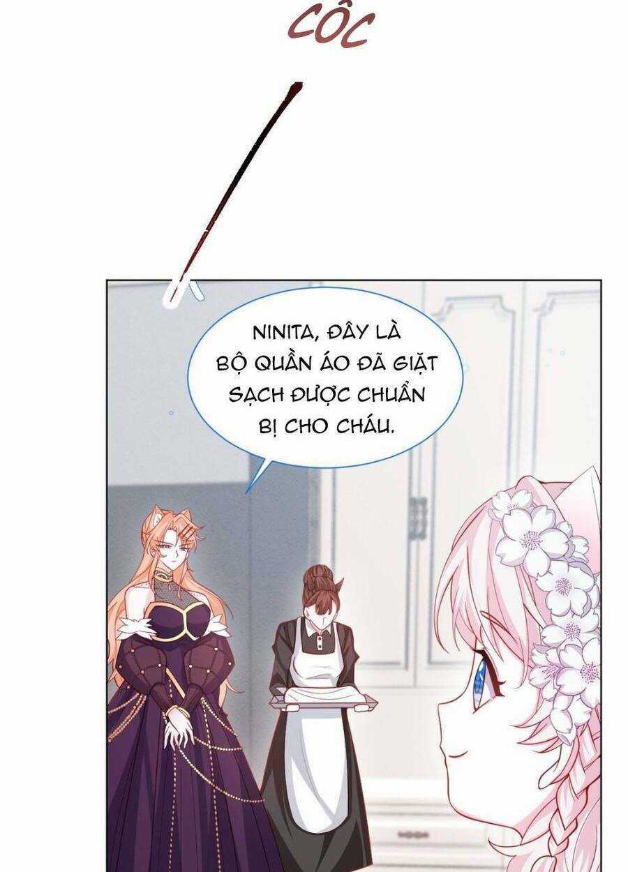 Ninita Yêu Dấu Chapter 48 trang 7