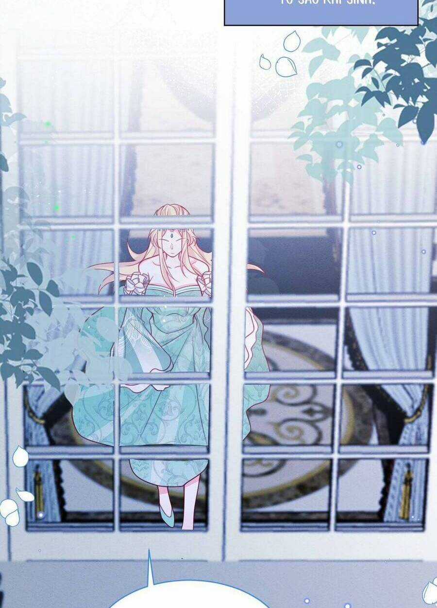 Ninita Yêu Dấu Chapter 49 trang 35