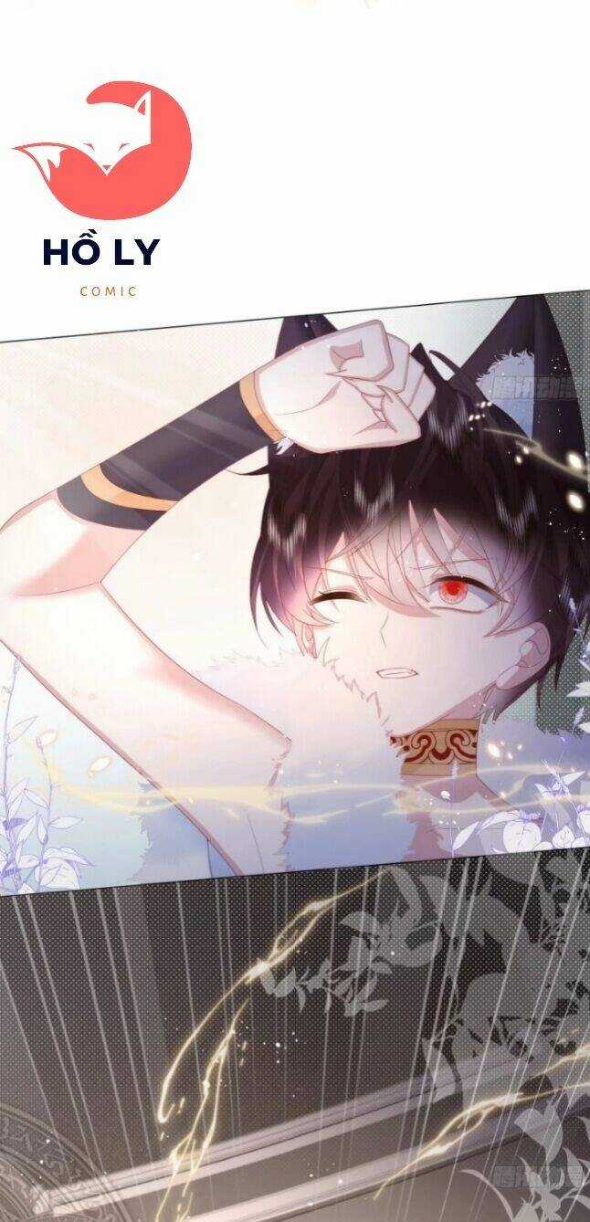 Ninita Yêu Dấu Chapter 5 trang 12