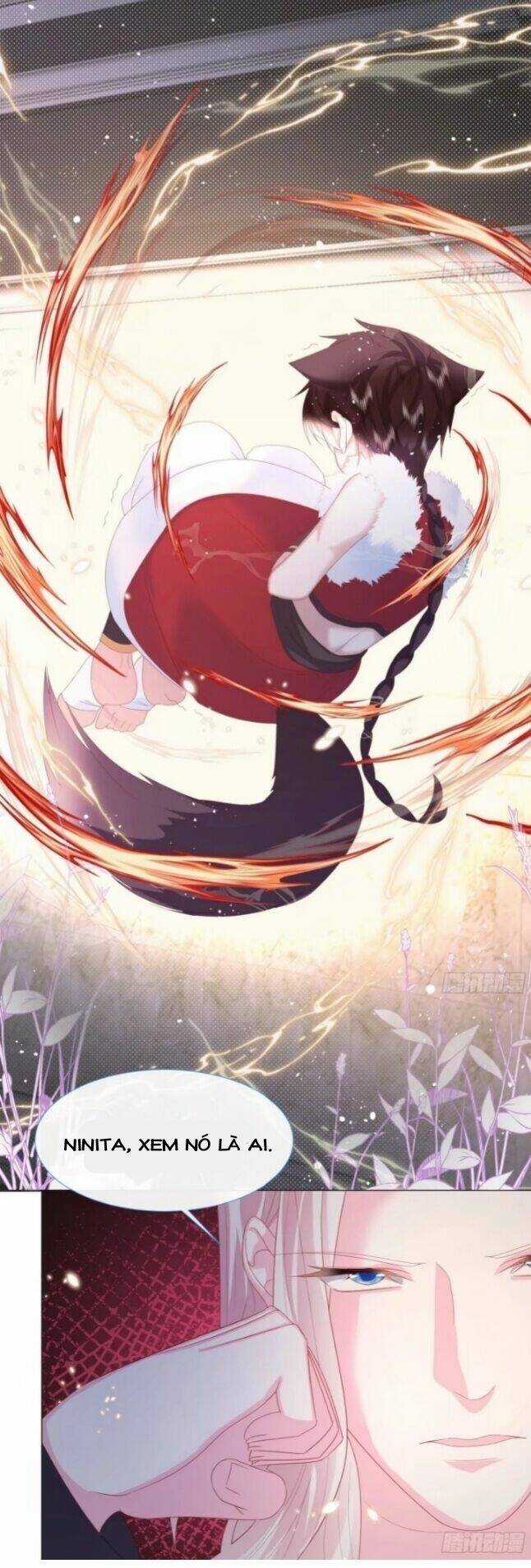 Ninita Yêu Dấu Chapter 5 trang 14