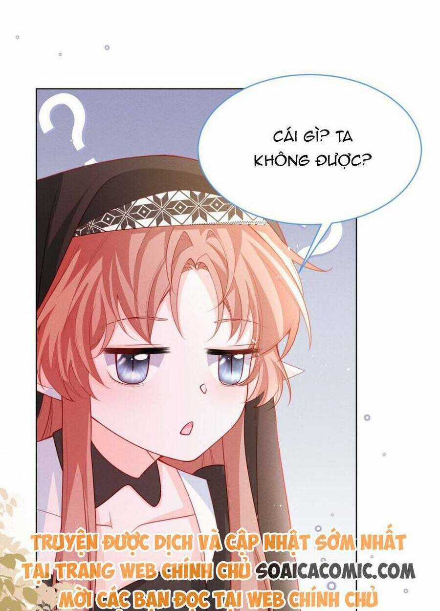 Ninita Yêu Dấu Chapter 50 trang 25