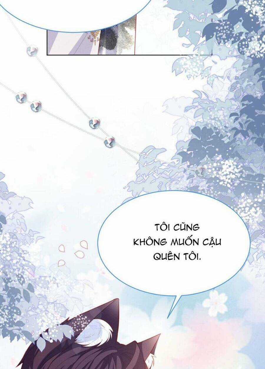 Ninita Yêu Dấu Chapter 50 trang 46