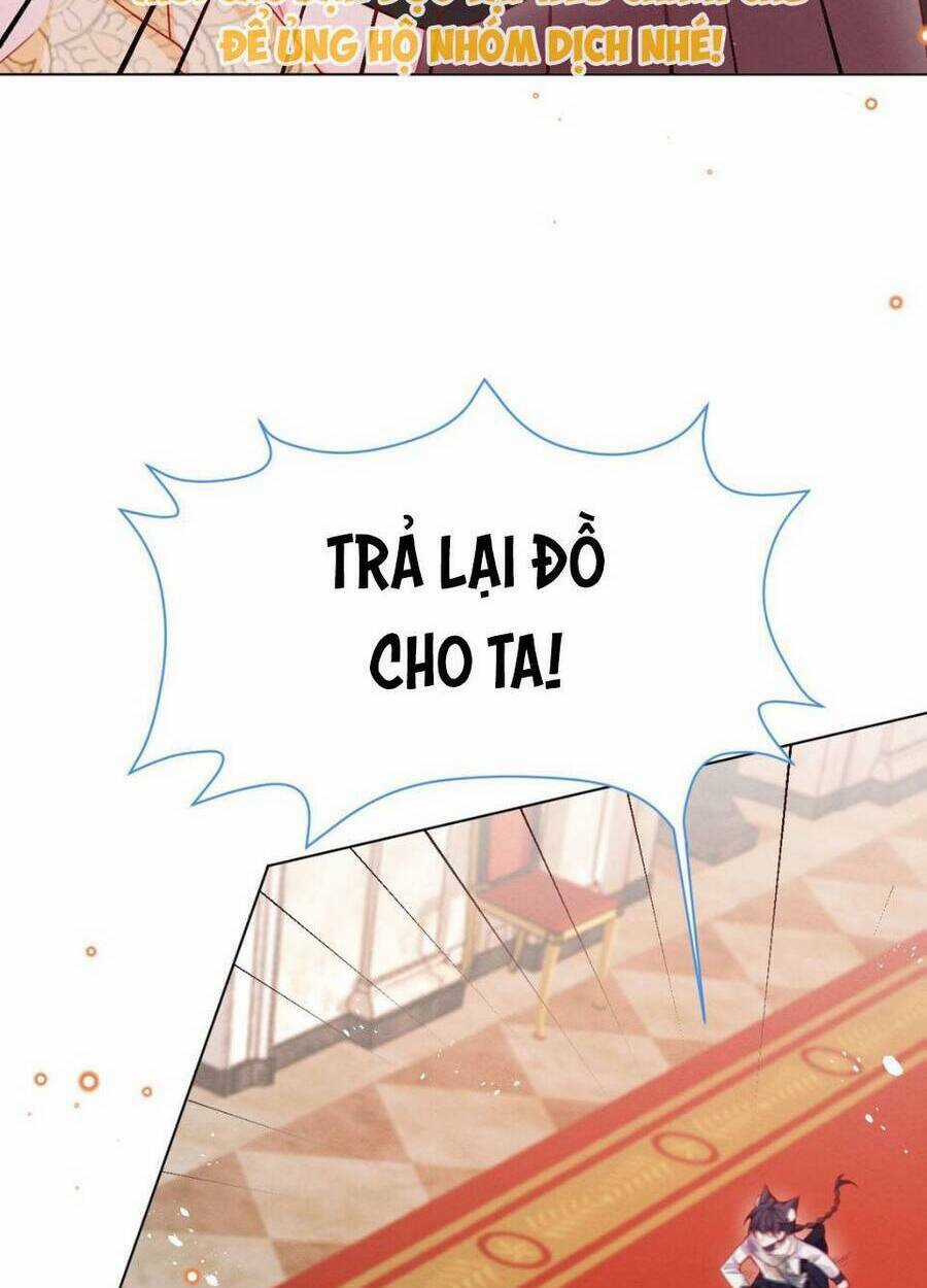 Ninita Yêu Dấu Chapter 50 trang 5