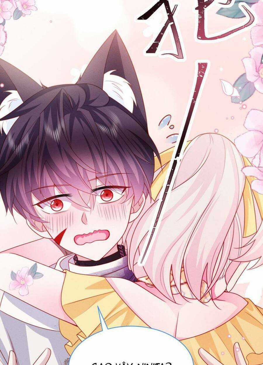 Ninita Yêu Dấu Chapter 50 trang 52