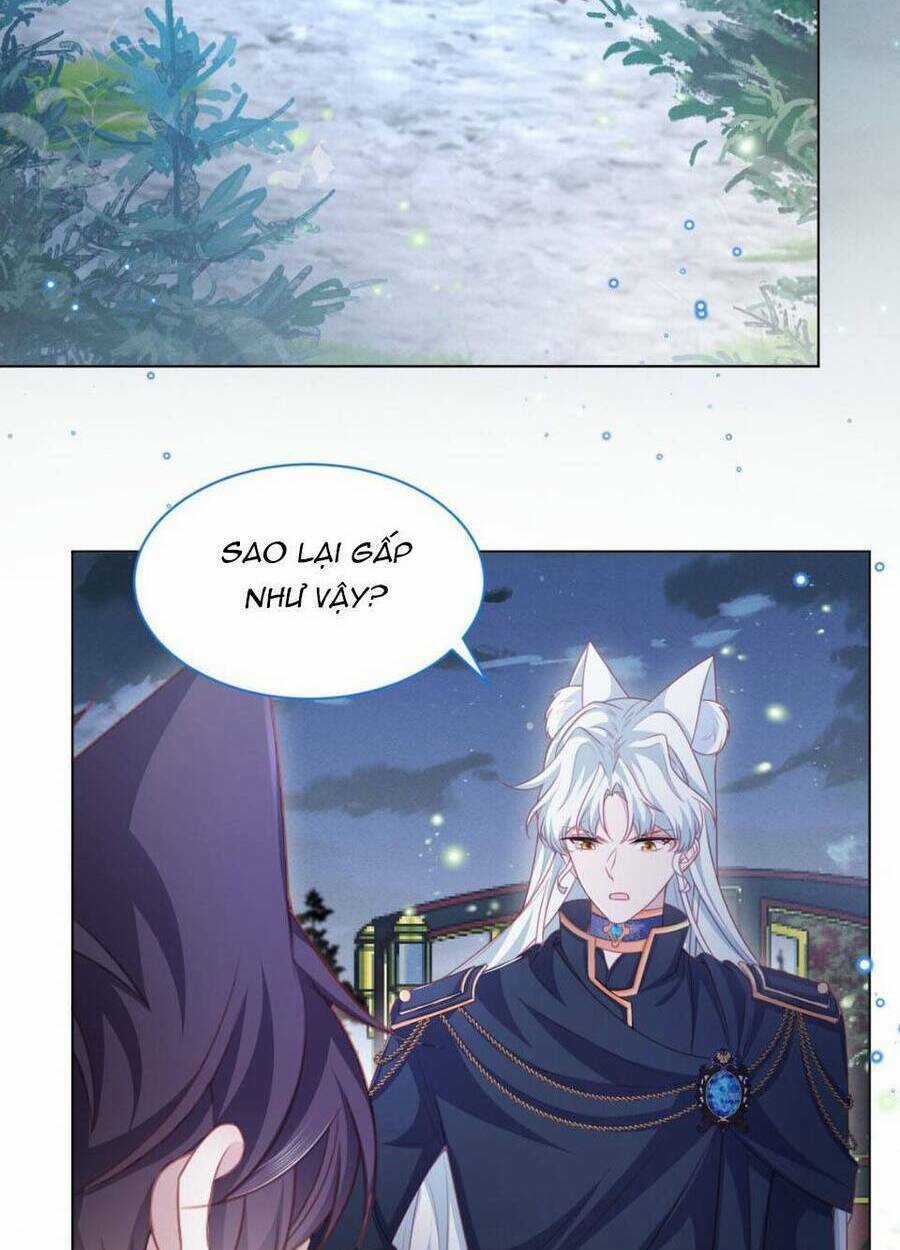 Ninita Yêu Dấu Chapter 51 trang 17