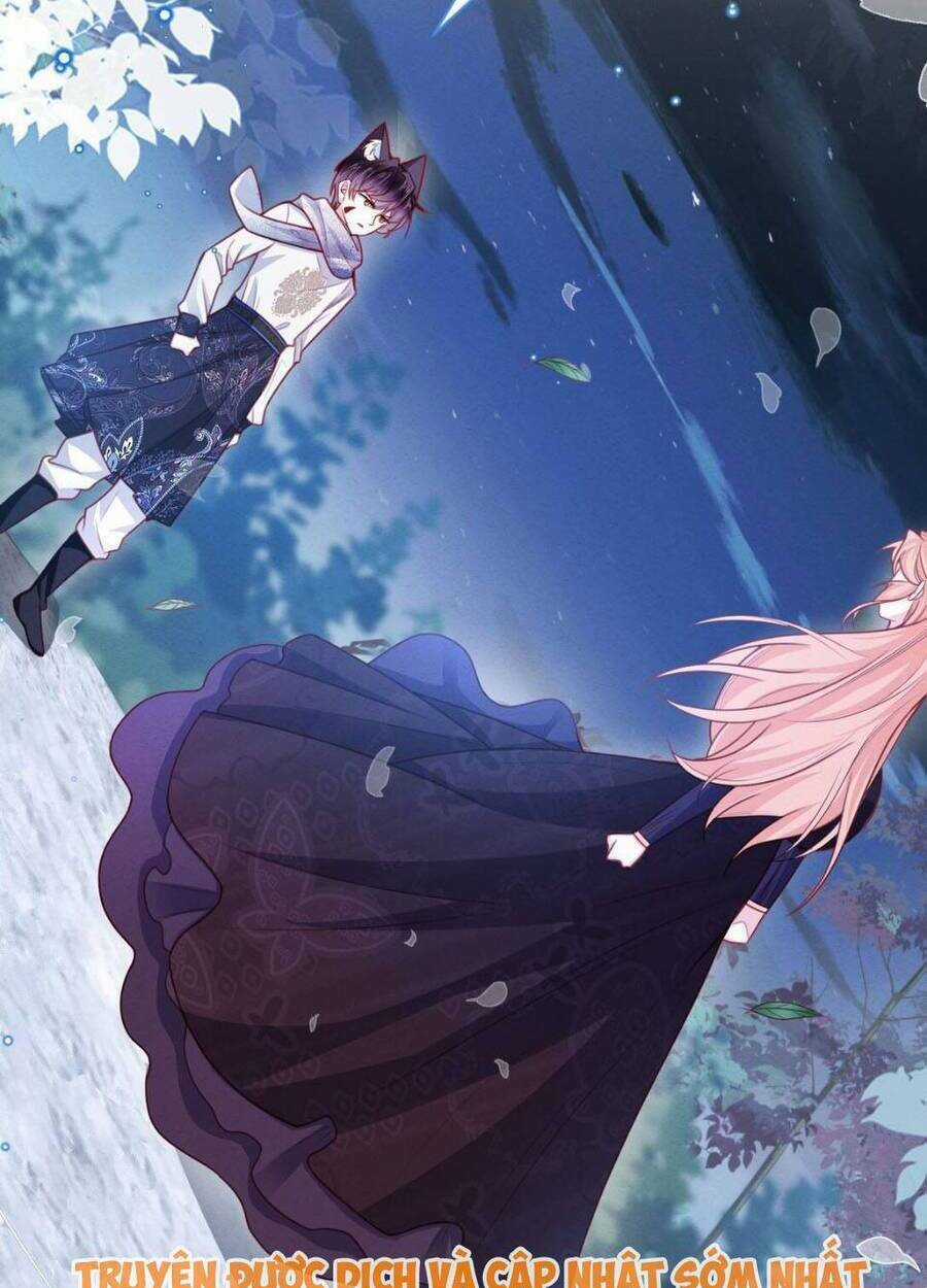 Ninita Yêu Dấu Chapter 51 trang 48