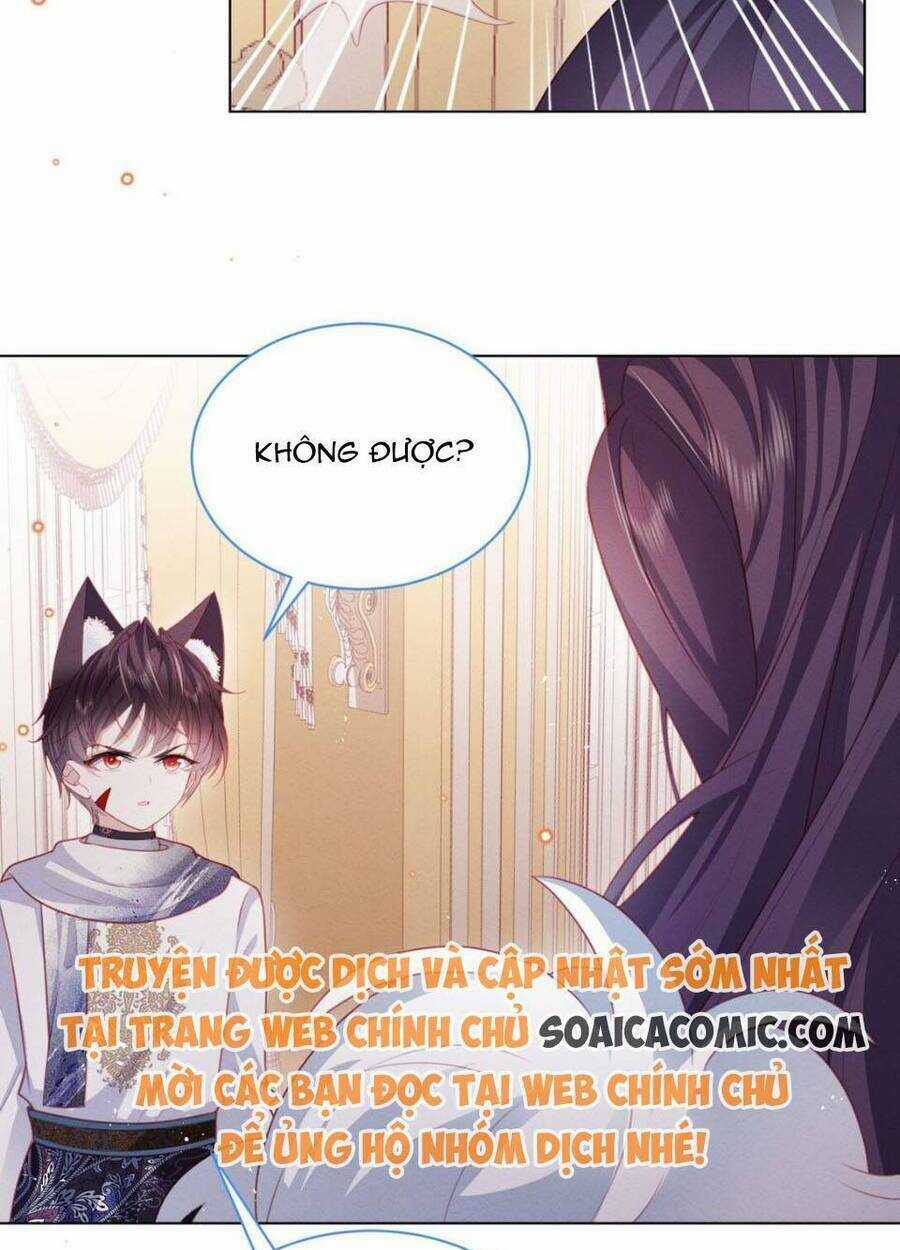 Ninita Yêu Dấu Chapter 51 trang 7