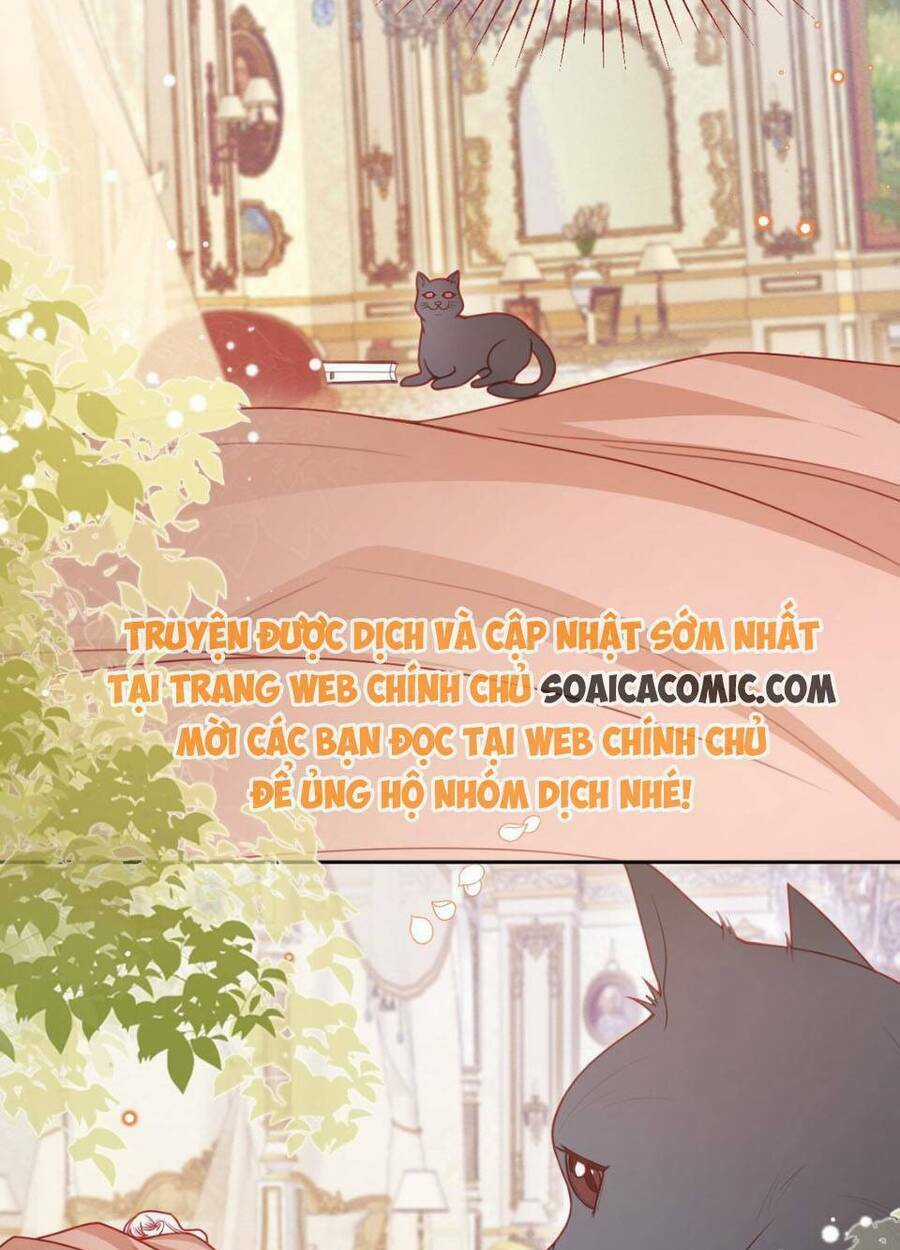 Ninita Yêu Dấu Chapter 52 trang 52