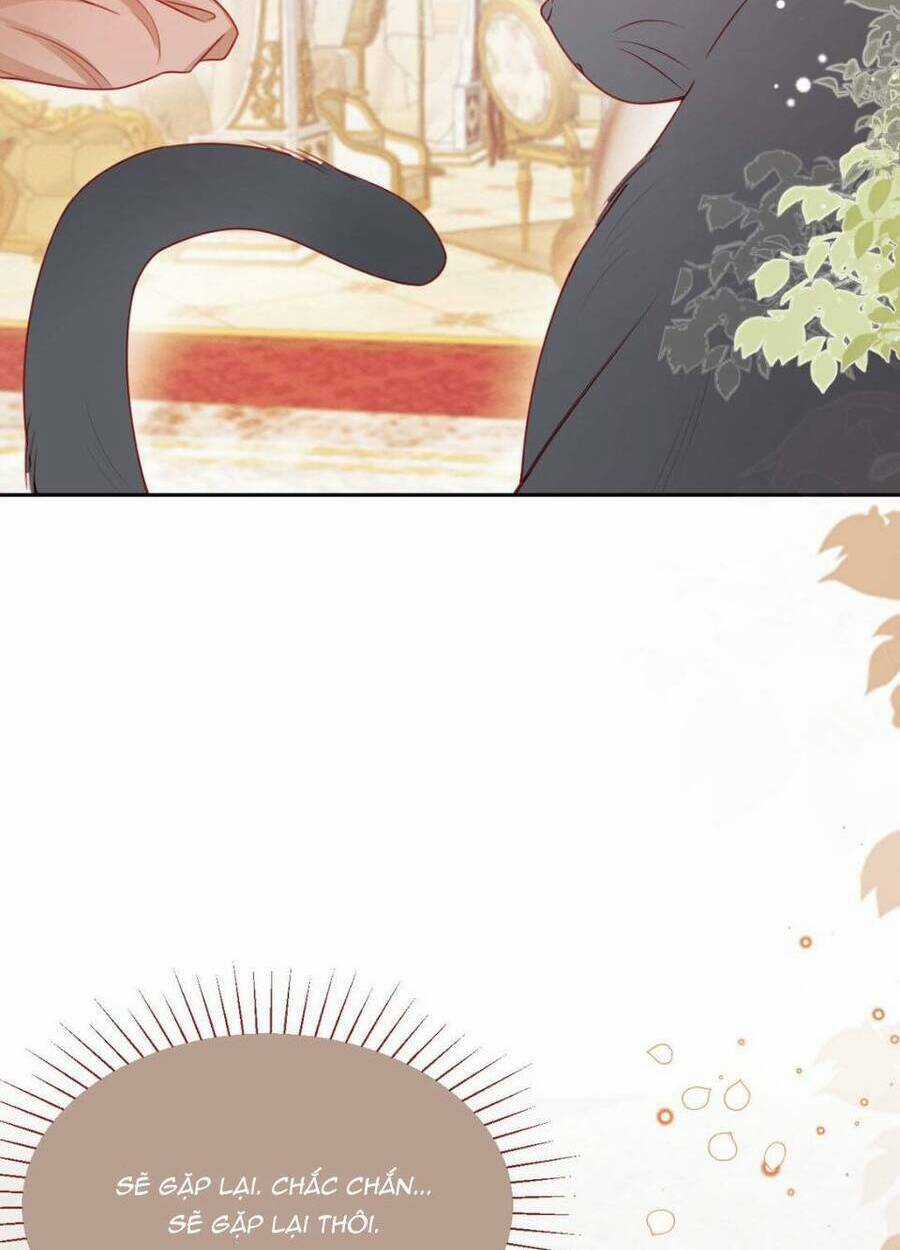 Ninita Yêu Dấu Chapter 52 trang 53