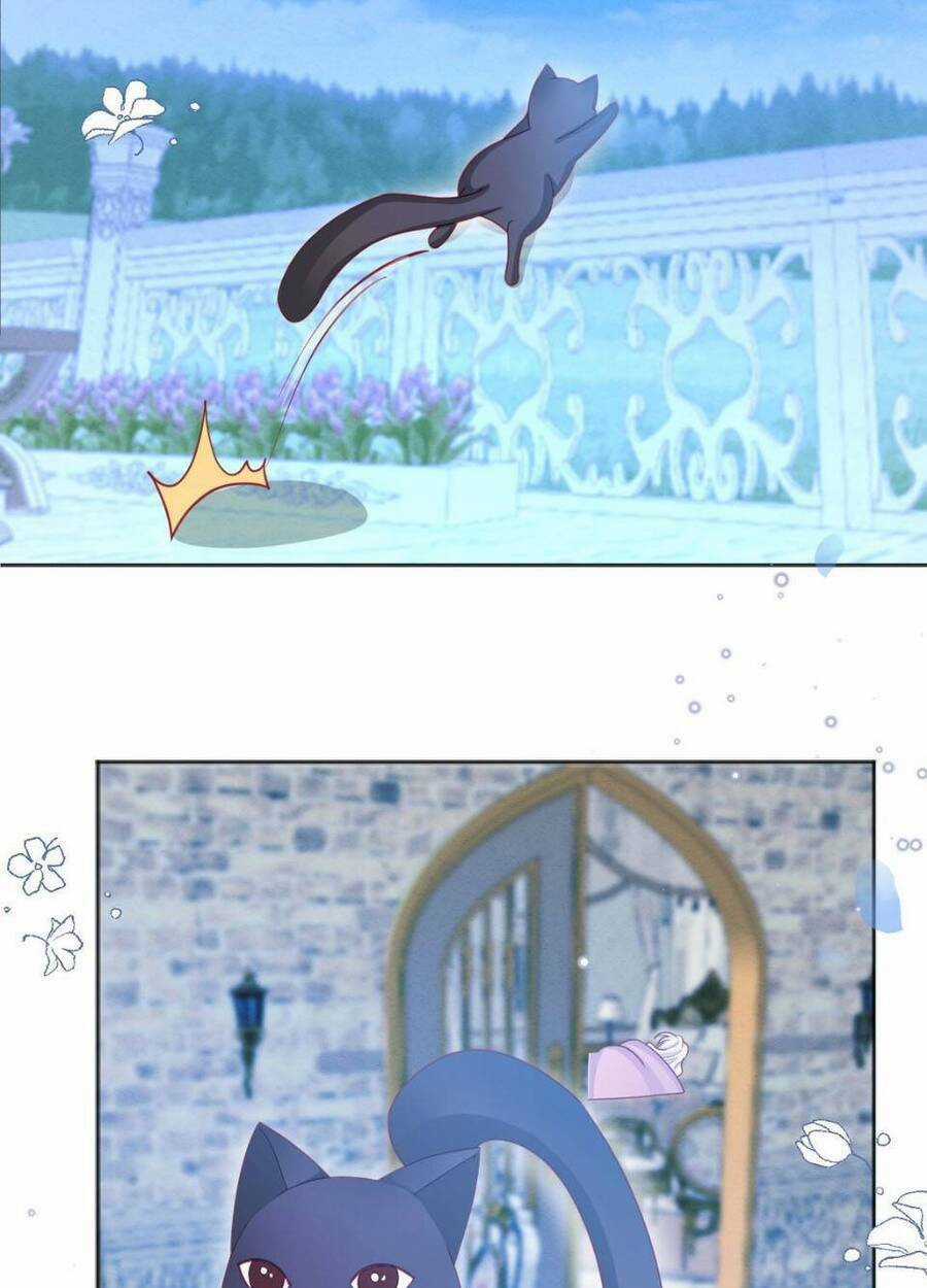 Ninita Yêu Dấu Chapter 53 trang 11