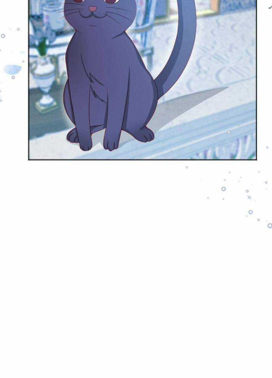 Ninita Yêu Dấu Chapter 53 trang 12