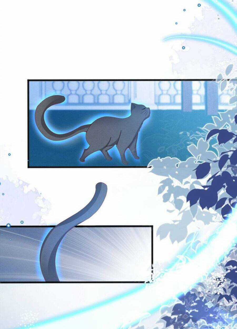 Ninita Yêu Dấu Chapter 53 trang 17