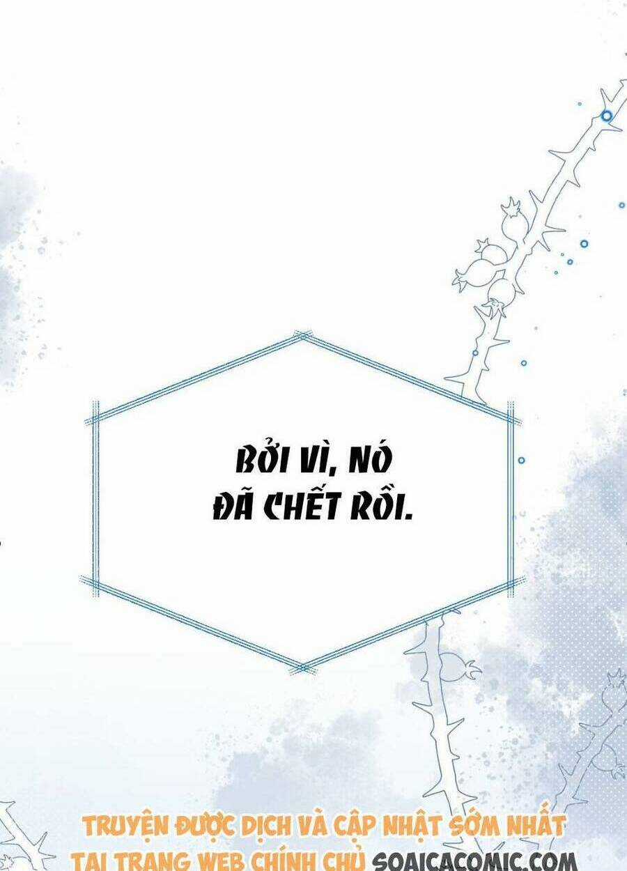 Ninita Yêu Dấu Chapter 53 trang 68