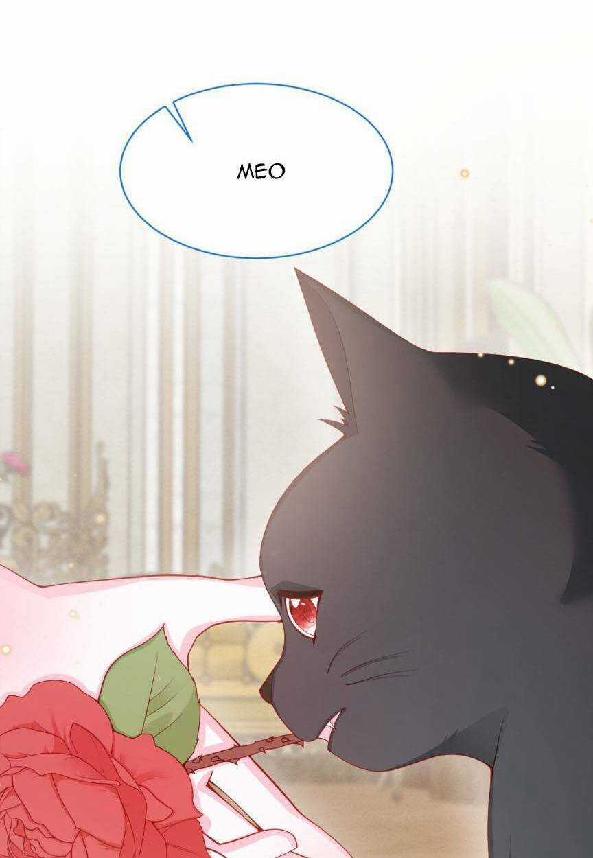 Ninita Yêu Dấu Chapter 54 trang 20