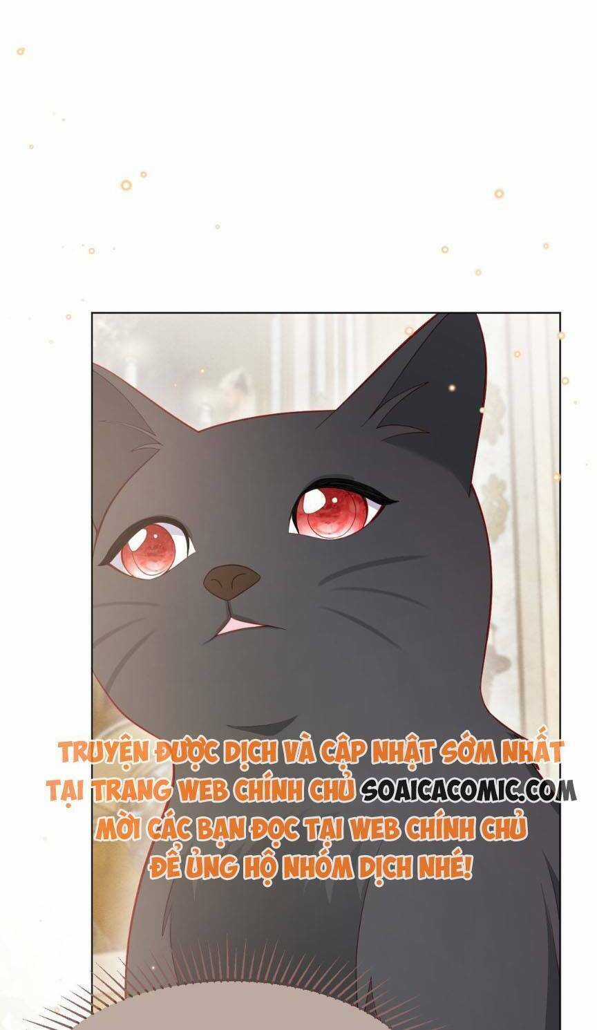 Ninita Yêu Dấu Chapter 54 trang 23