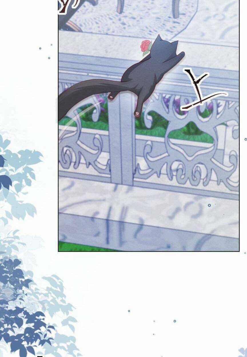 Ninita Yêu Dấu Chapter 54 trang 62