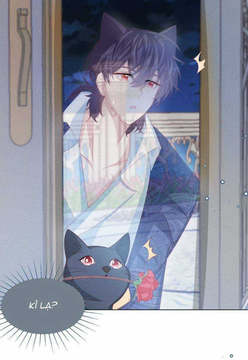 Ninita Yêu Dấu Chapter 54 trang 64