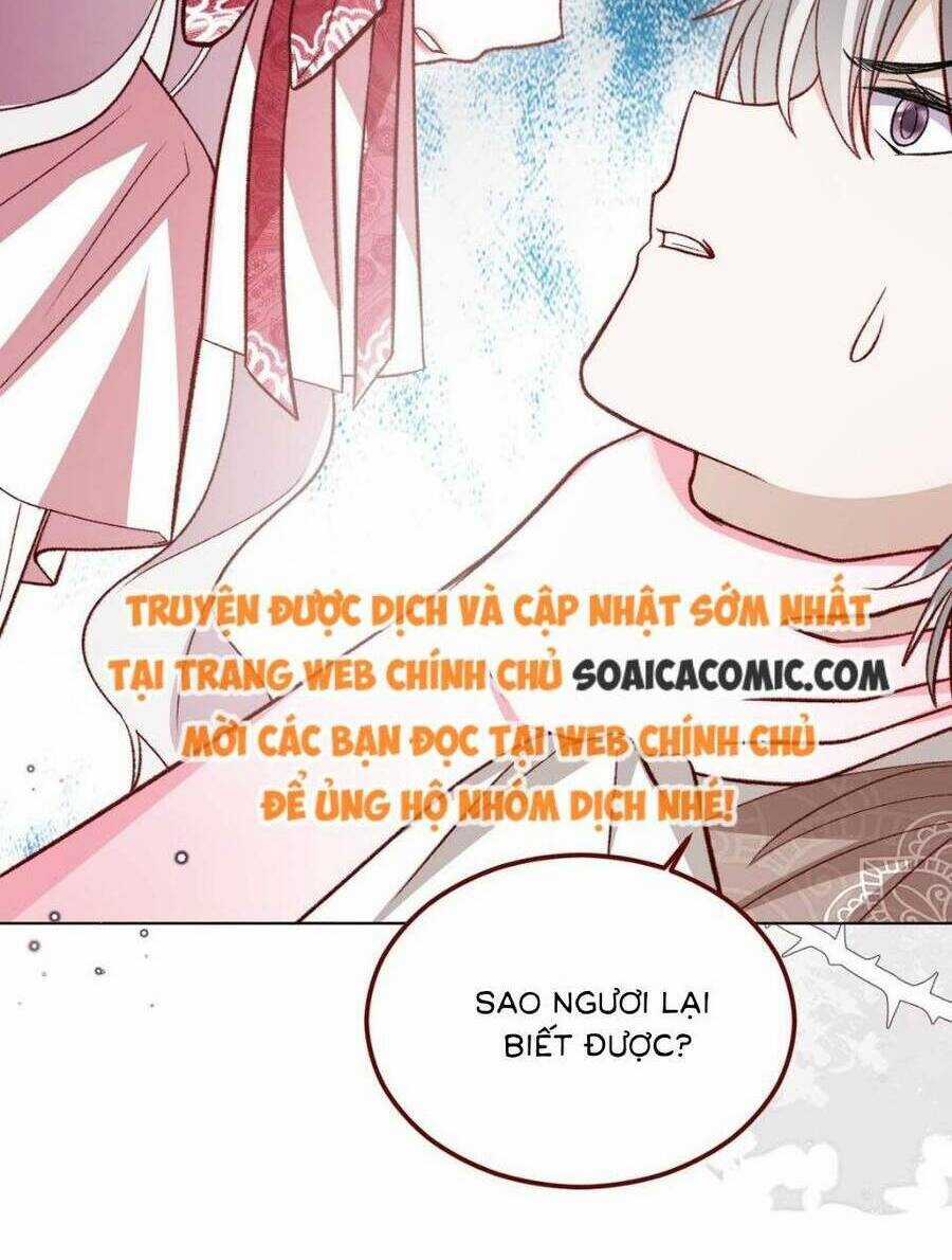 Ninita Yêu Dấu Chapter 67 trang 17