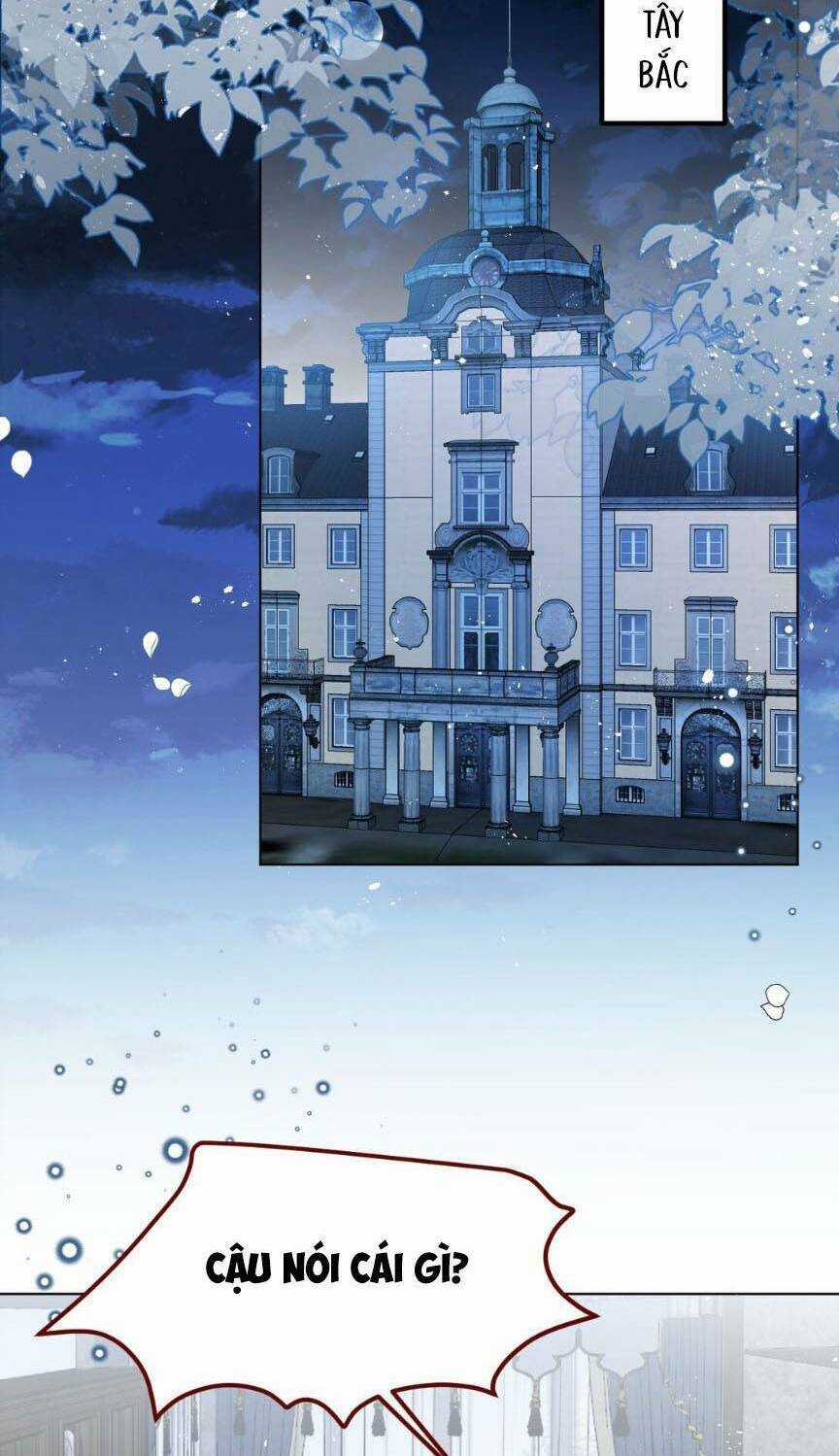 Ninita Yêu Dấu Chapter 68 trang 3