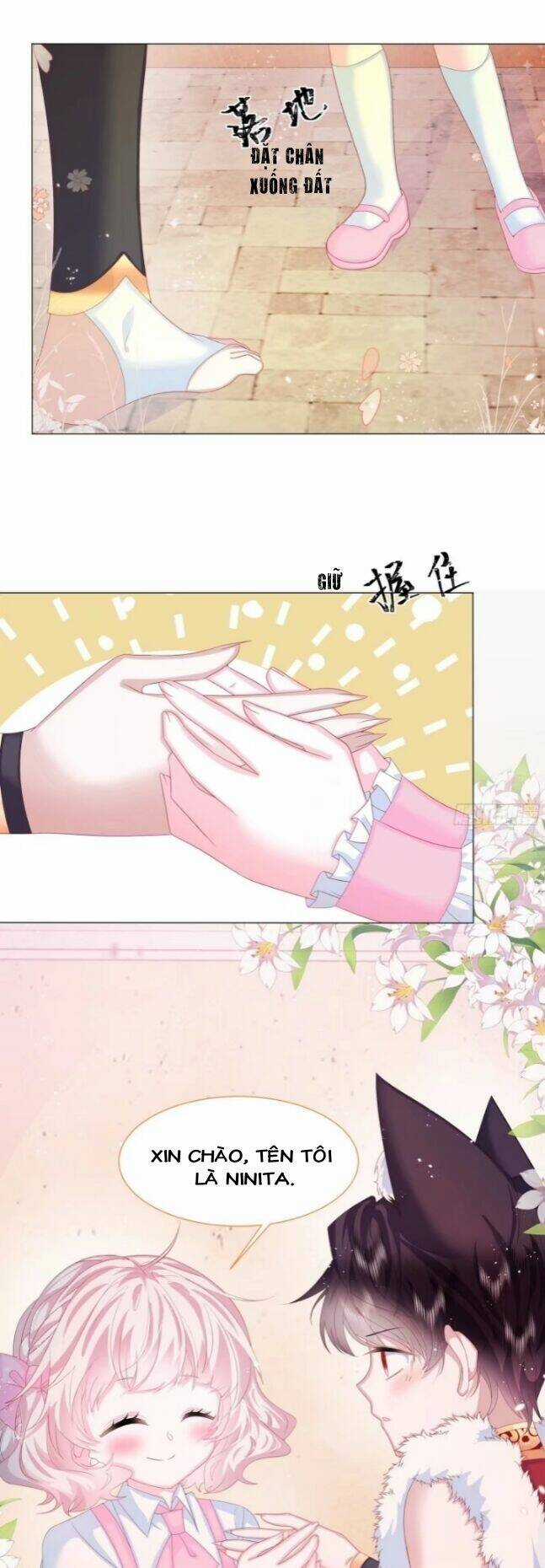 Ninita Yêu Dấu Chapter 7 trang 12