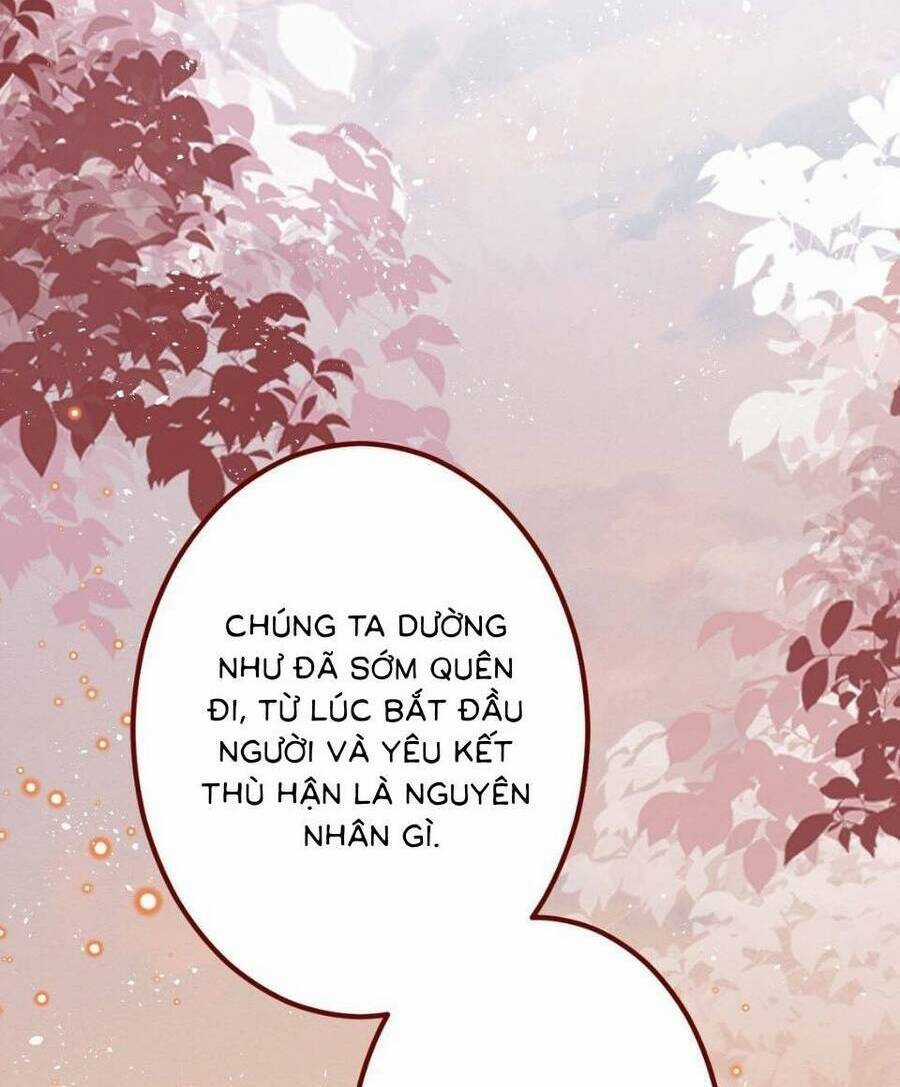 Ninita Yêu Dấu Chapter 70 trang 41