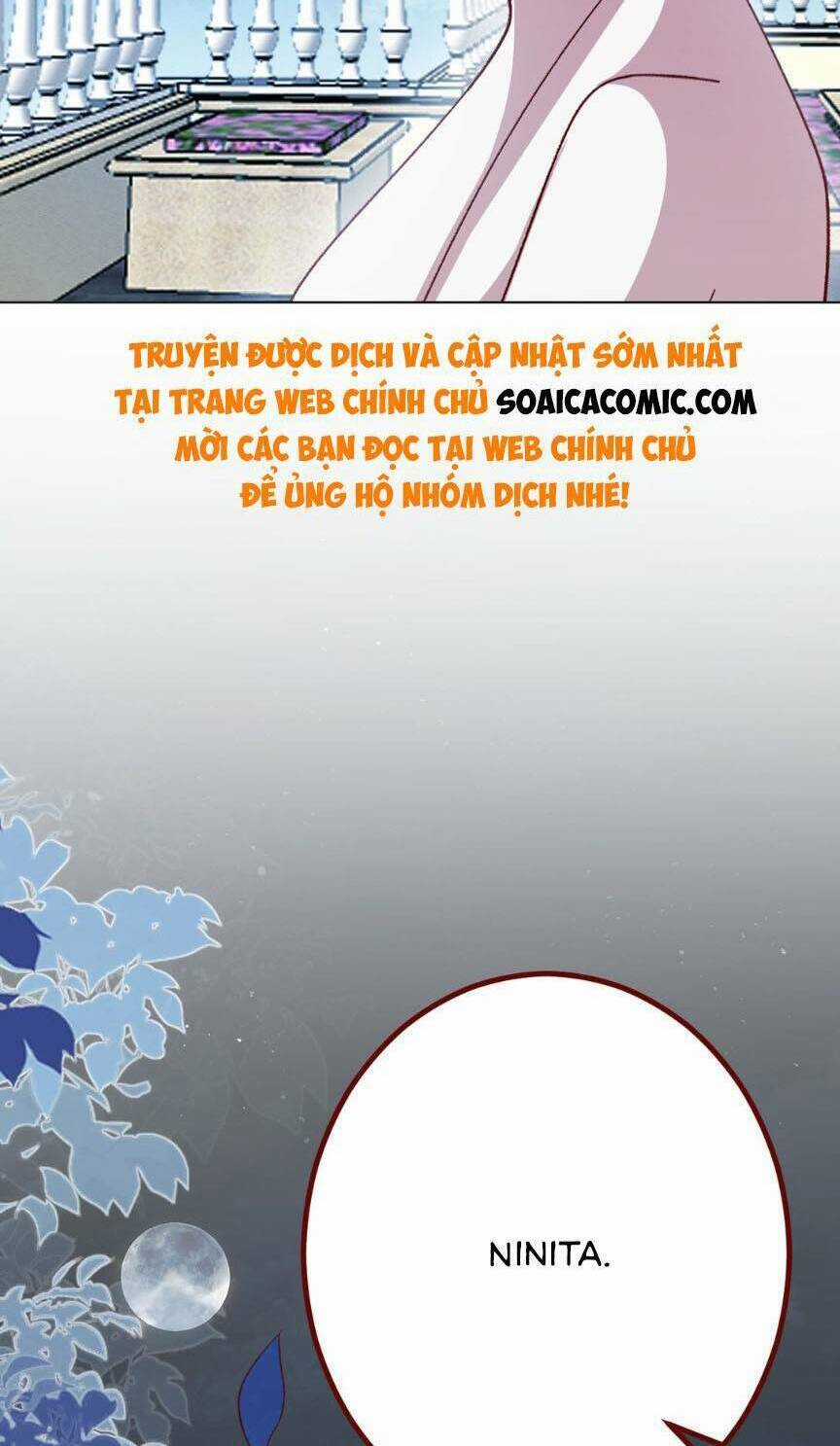Ninita Yêu Dấu Chapter 71 trang 13